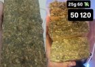 Polícia Militar prende suspeito de tráfico de drogas e captura foragido da Justiça
