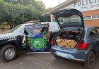 REGIÃO: Policiais Militares prendem dois traficantes de drogas