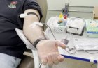 “Três Lagoas inicia campanha de doação de sangue; veja como participar”
