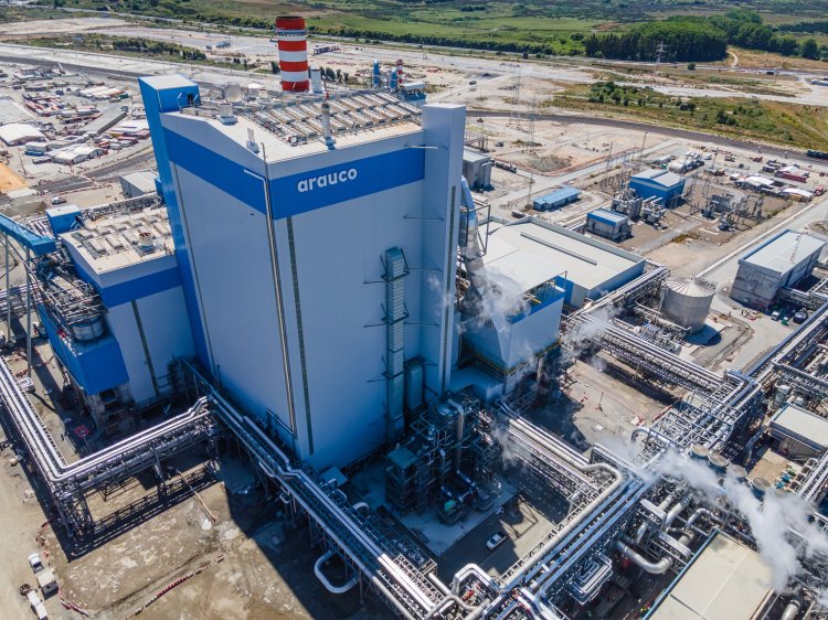 ARAUCO AVANÇA: ponte ferroviária do Projeto Sucuriú chega a 70% e novas oportunidades são abertas em Três Lagoas